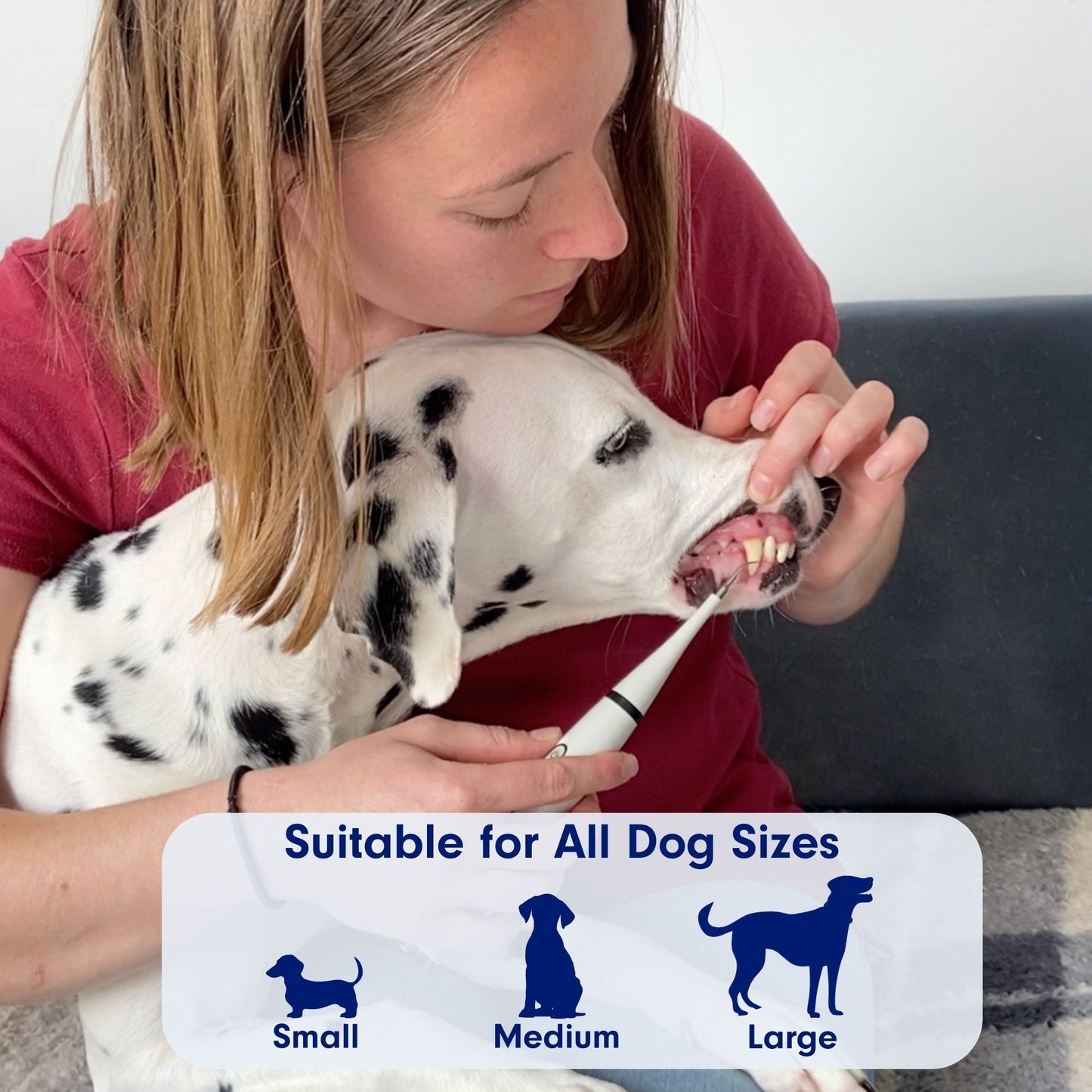 FreshFangs™ - Sonic Tooth cleaner for dogs