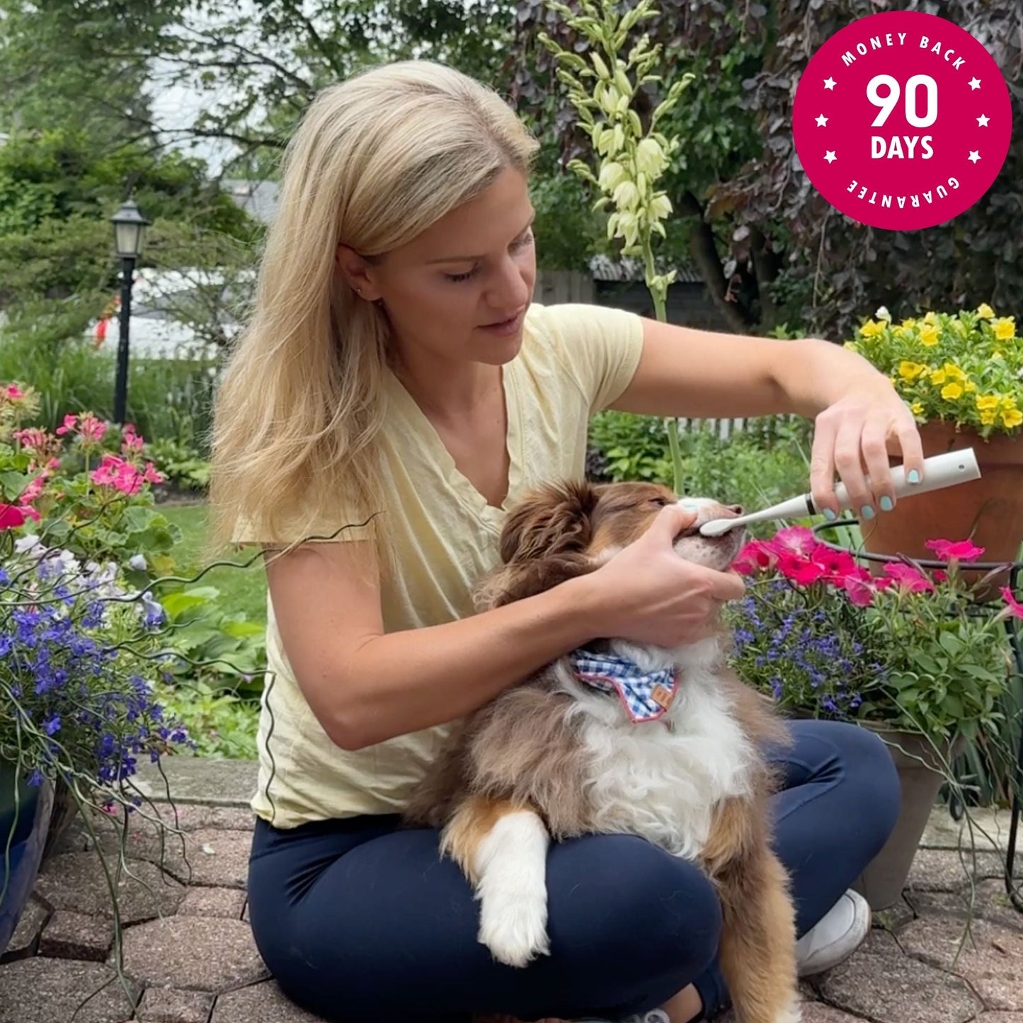 FreshFangs™ - Sonic Tooth cleaner for dogs