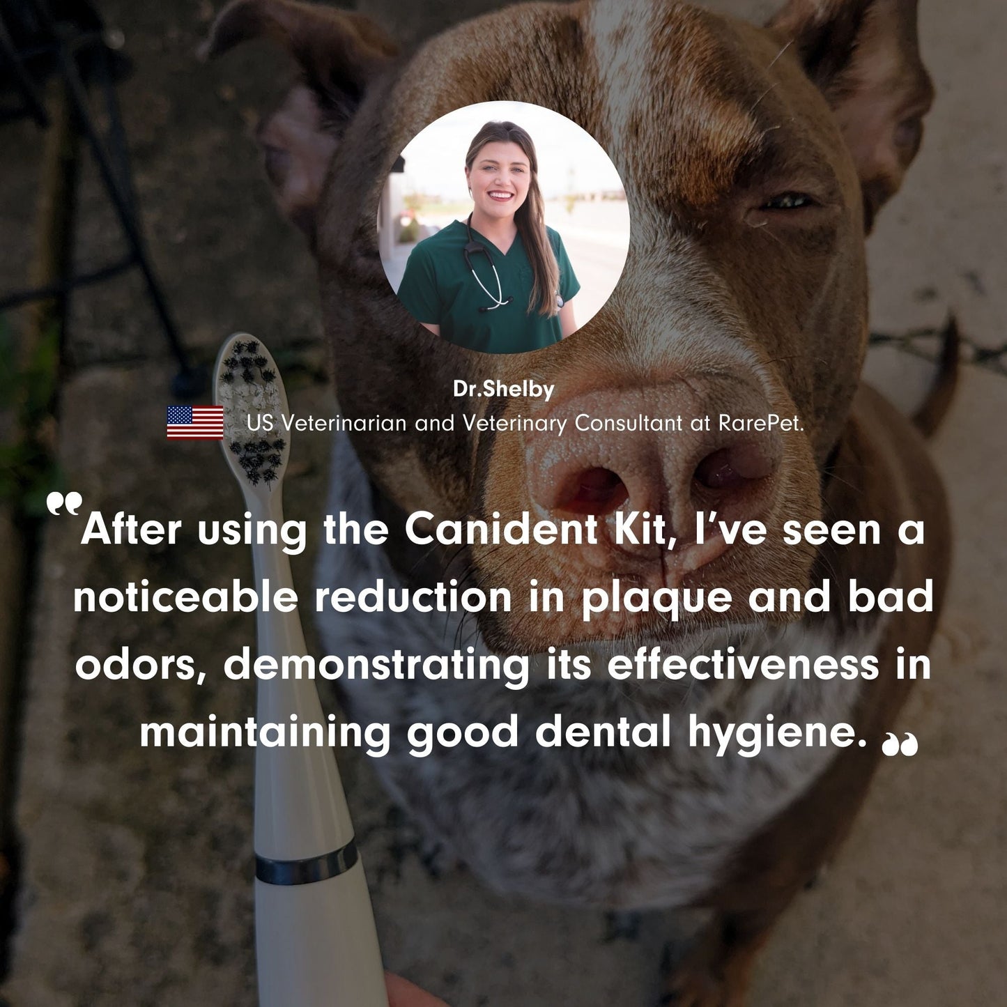 FreshFangs™ - Sonic Tooth cleaner for dogs