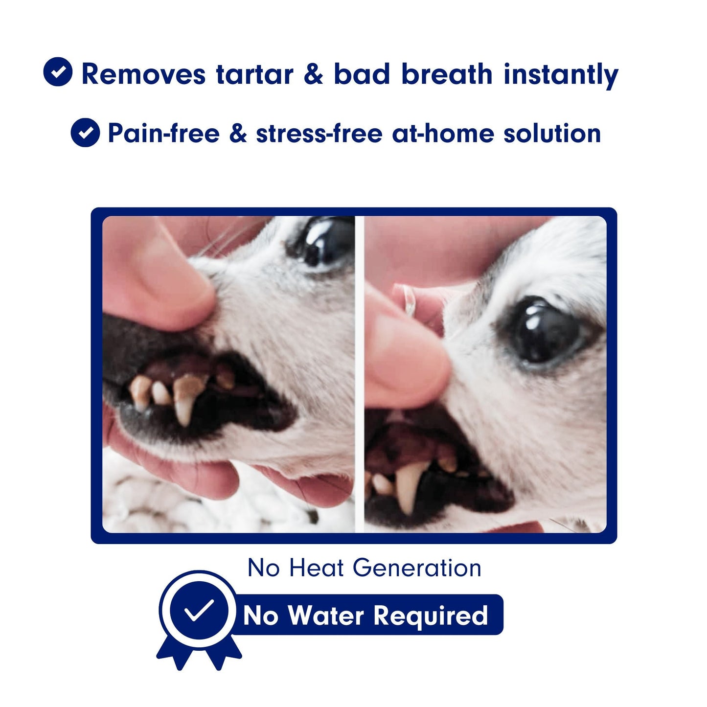 FreshFangs™ - Sonic Tooth cleaner for dogs