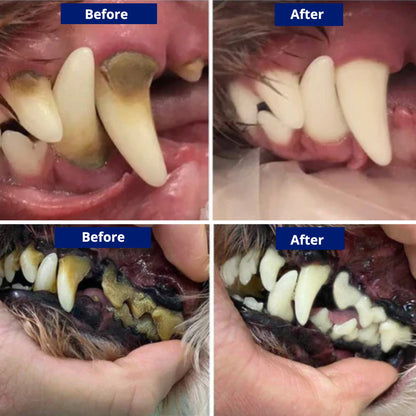 FreshFangs™ - Sonic Tooth cleaner for dogs