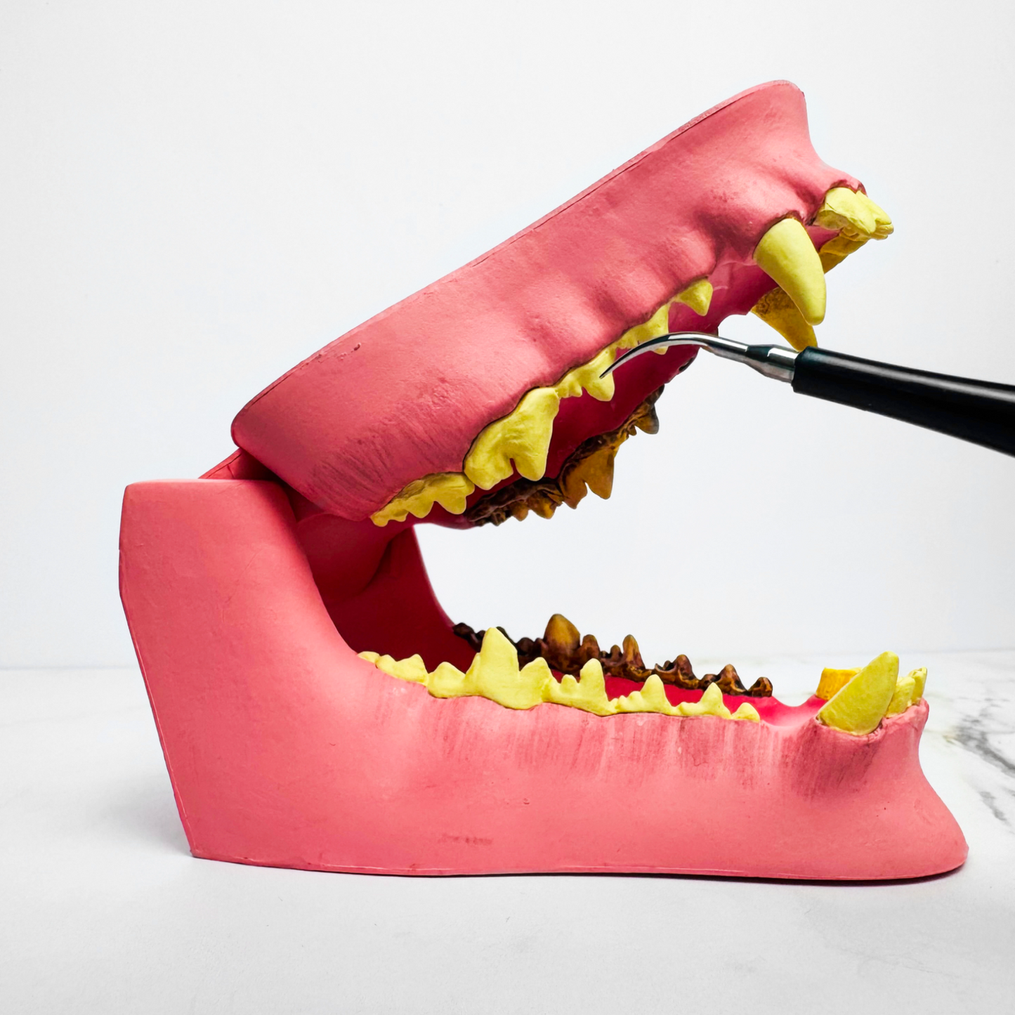FreshFangs™ - Sonic Tooth cleaner for dogs